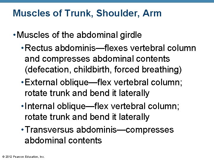 Muscles of Trunk, Shoulder, Arm • Muscles of the abdominal girdle • Rectus abdominis—flexes Muscles of Trunk, Shoulder, Arm • Muscles of the abdominal girdle • Rectus abdominis—flexes