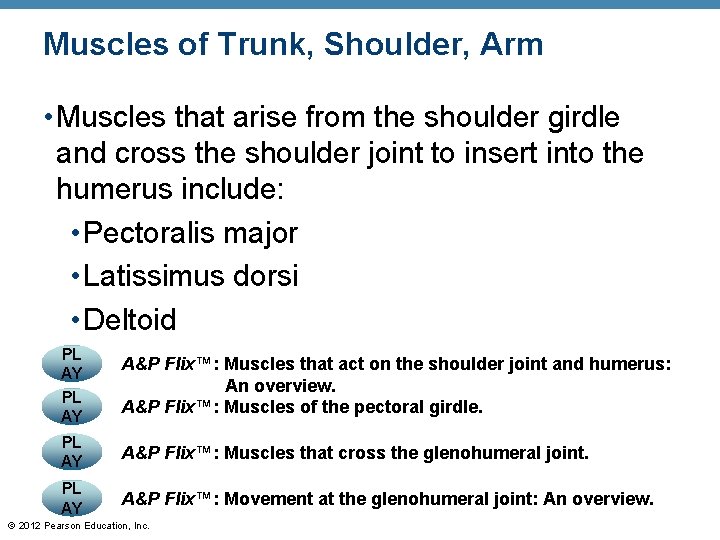 Muscles of Trunk, Shoulder, Arm • Muscles that arise from the shoulder girdle and Muscles of Trunk, Shoulder, Arm • Muscles that arise from the shoulder girdle and