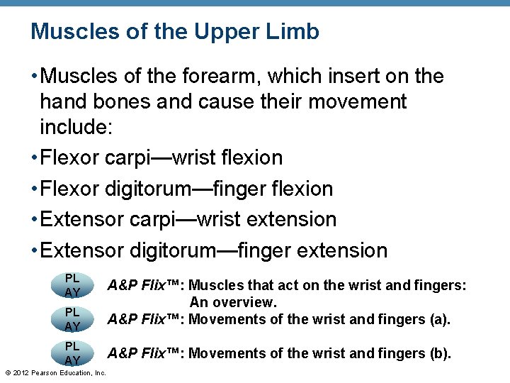 Muscles of the Upper Limb • Muscles of the forearm, which insert on the Muscles of the Upper Limb • Muscles of the forearm, which insert on the