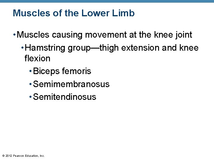 Muscles of the Lower Limb • Muscles causing movement at the knee joint • Muscles of the Lower Limb • Muscles causing movement at the knee joint •