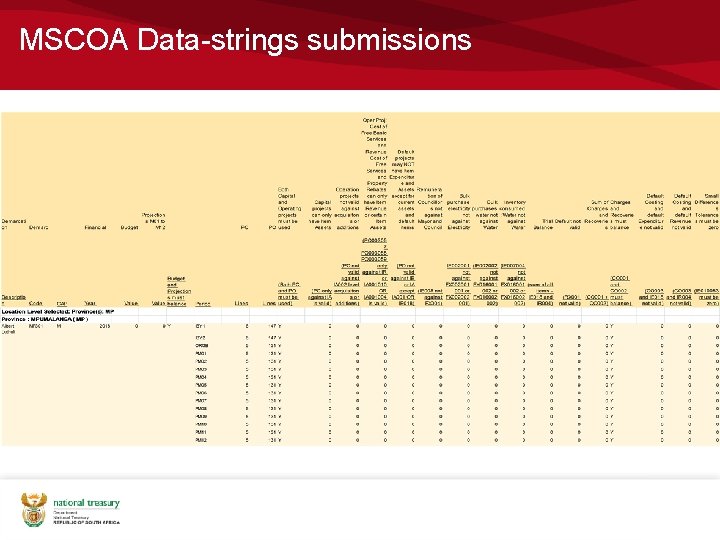MSCOA Data-strings submissions 