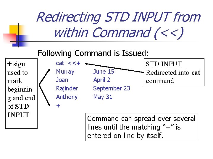 Redirecting STD INPUT from within Command (<<) Following Command is Issued: + sign used