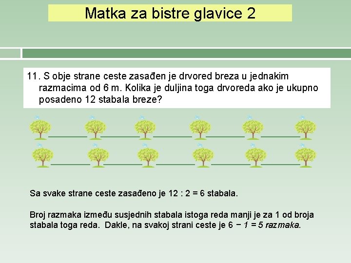 Matka za bistre glavice 2 11. S obje strane ceste zasađen je drvored breza