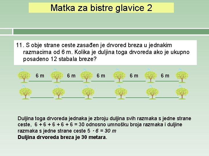 Matka za bistre glavice 2 11. S obje strane ceste zasađen je drvored breza