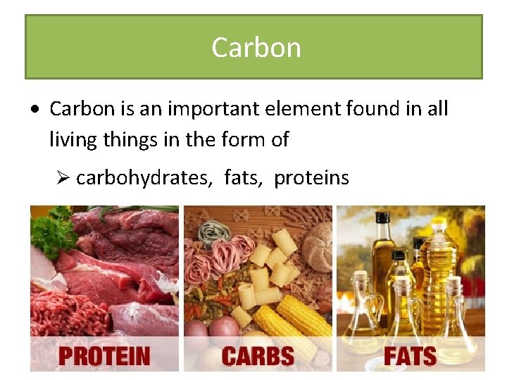 Carbon is an important element found in all living things in the form of