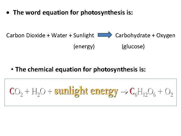  The word equation for photosynthesis is: Carbon Dioxide + Water + Sunlight (energy)