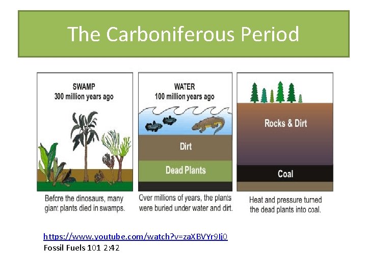 The Carboniferous Period https: //www. youtube. com/watch? v=za. XBVYr 9 Ij 0 Fossil Fuels