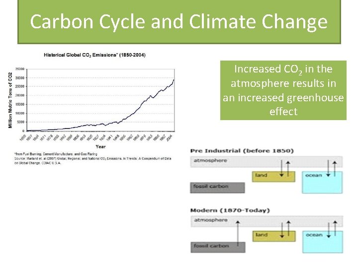 Carbon Cycle and Climate Change Increased CO 2 in the atmosphere results in an