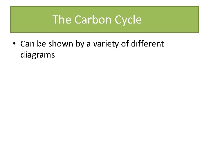 The Carbon Cycle • Can be shown by a variety of different diagrams 