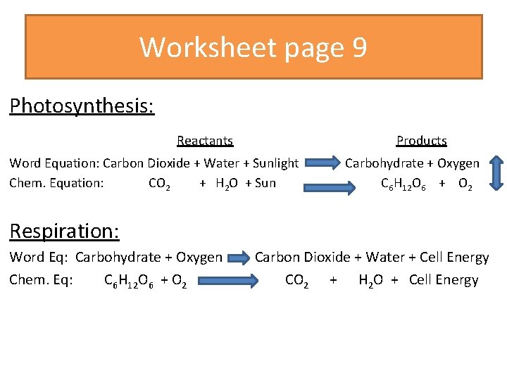 Worksheet page 9 Photosynthesis: Reactants Products Word Equation: Carbon Dioxide + Water + Sunlight