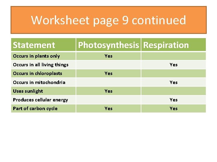 Worksheet page 9 continued Statement Occurs in plants only Photosynthesis Respiration Yes Occurs in