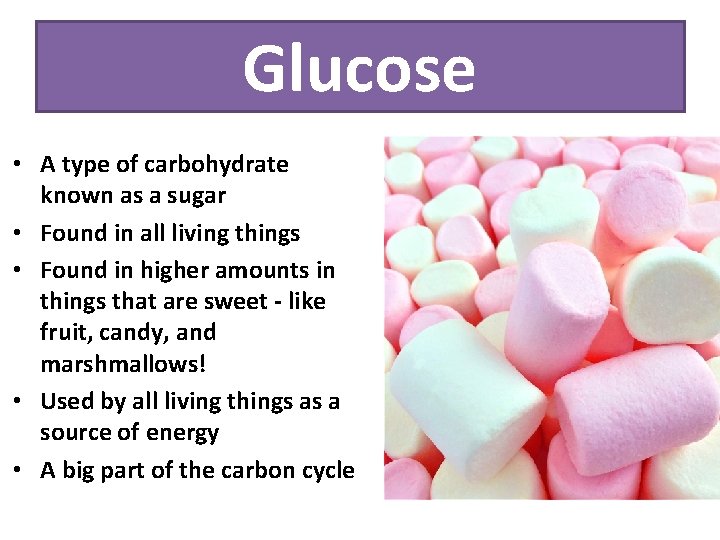 Glucose • A type of carbohydrate known as a sugar • Found in all