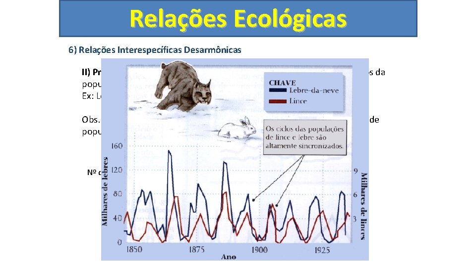 Relações Ecológicas 6) Relações Interespecíficas Desarmônicas II) Predatismo: Ocorre quando organismo predadores matam indivíduos