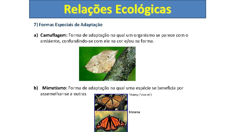 Relações Ecológicas 7) Formas Especiais de Adaptação a) Camuflagem: Forma de adaptação na qual