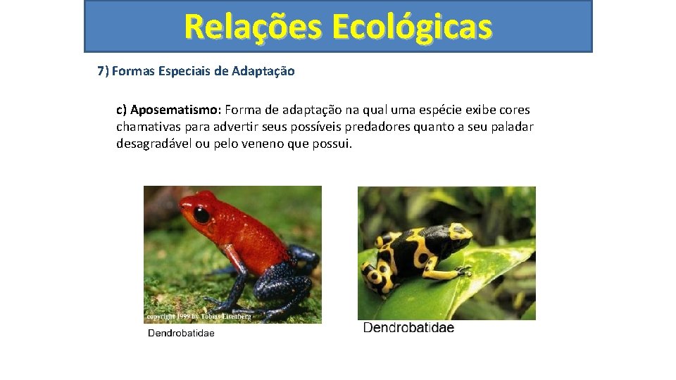 Relações Ecológicas 7) Formas Especiais de Adaptação c) Aposematismo: Forma de adaptação na qual