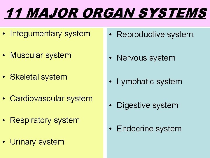 11 MAJOR ORGAN SYSTEMS • Integumentary system • Reproductive system. • Muscular system •