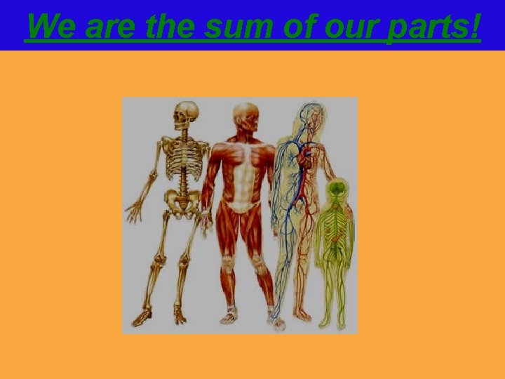 We are the sum of our parts! 