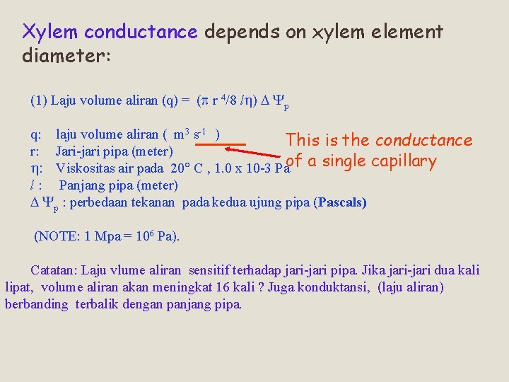 Xylem conductance depends on xylem element diameter: (1) Laju volume aliran (q) = (p