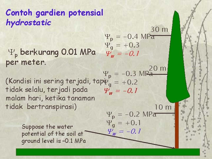 Contoh gardien potensial hydrostatic Yp berkurang 0. 01 MPa per meter. 30 m Yp