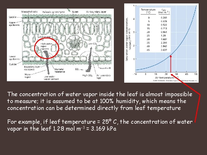 The concentration of water vapor inside the leaf is almost impossible to measure; it