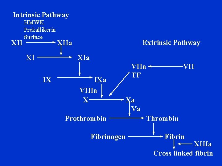 Intrinsic Pathway XII HMWK Prekallikerin Surface XI Extrinsic Pathway XIIa XIa IX IXa VIIIa