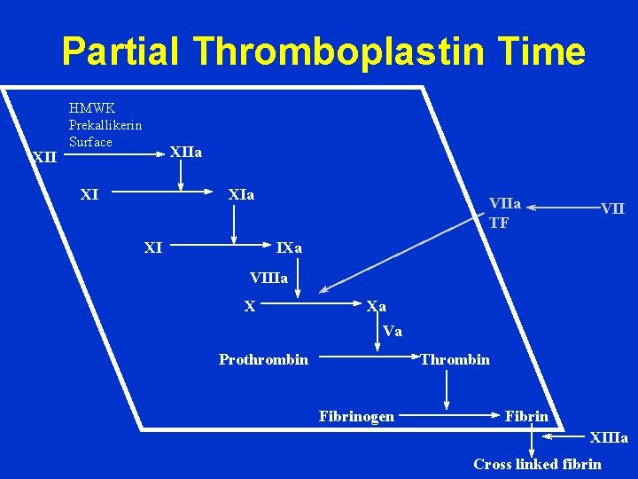 Partial Thromboplastin Time XII HMWK Prekallikerin Surface XIIa XI XIa XI VIIa TF VII