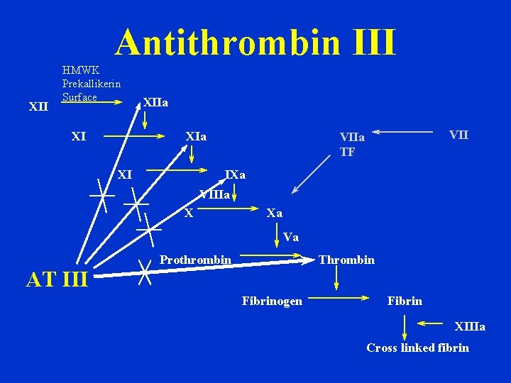 Antithrombin III XII HMWK Prekallikerin Surface XI XIIa XI VIIa TF IXa VIIIa X