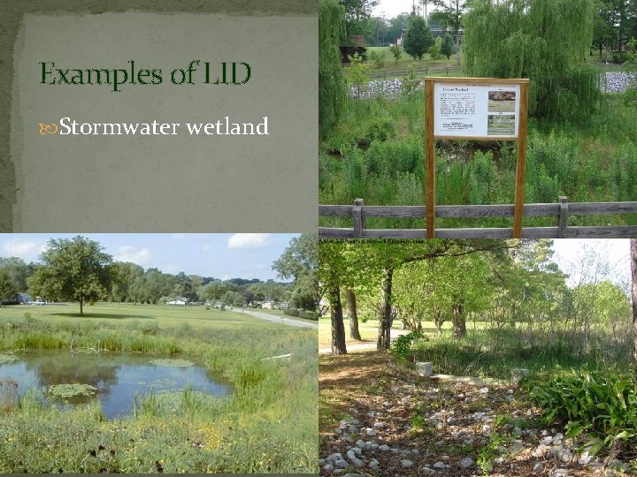 Examples of LID Stormwater wetland 