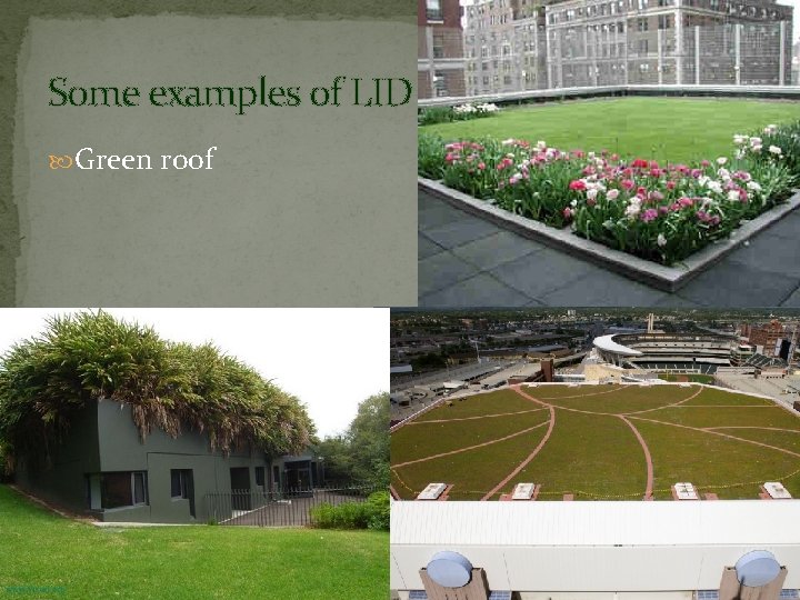 Some examples of LID Green roof 