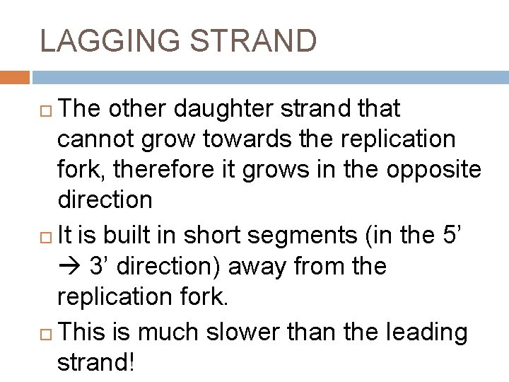 LAGGING STRAND The other daughter strand that cannot grow towards the replication fork, therefore