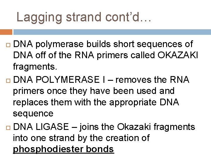 Lagging strand cont’d… DNA polymerase builds short sequences of DNA off of the RNA