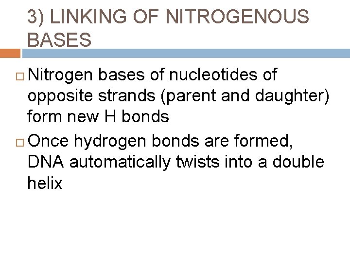 3) LINKING OF NITROGENOUS BASES Nitrogen bases of nucleotides of opposite strands (parent and