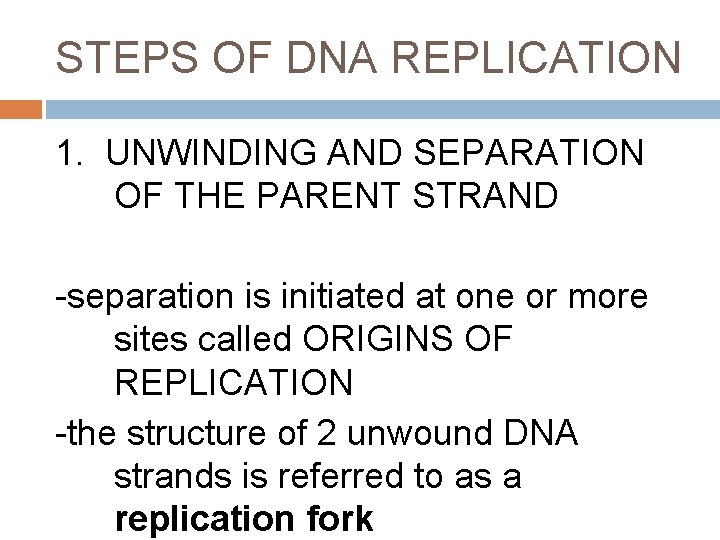 STEPS OF DNA REPLICATION 1. UNWINDING AND SEPARATION OF THE PARENT STRAND -separation is