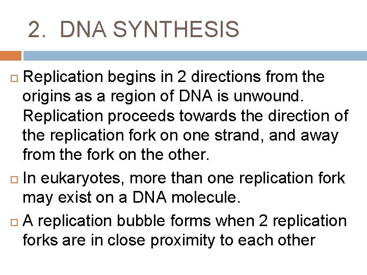 2. DNA SYNTHESIS Replication begins in 2 directions from the origins as a region