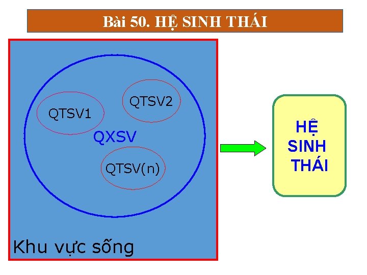 Bài 50. HỆ SINH THÁI QTSV 1 QTSV 2 QXSV QTSV(n) Khu vực sống