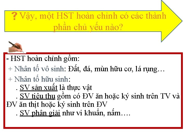  Vậy, một HST hoàn chỉnh có các thành phần chủ yếu nào? -