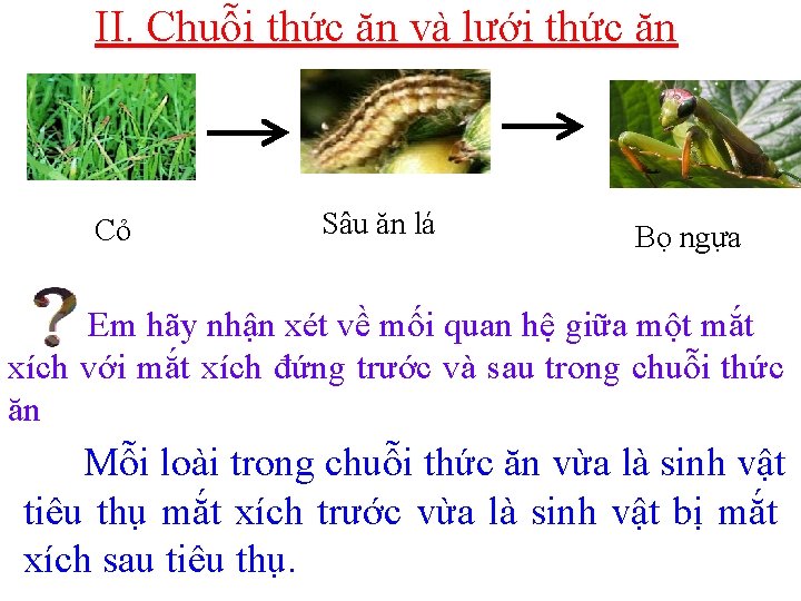 II. Chuỗi thức ăn và lưới thức ăn ? Cỏ ? Sâu ăn lá