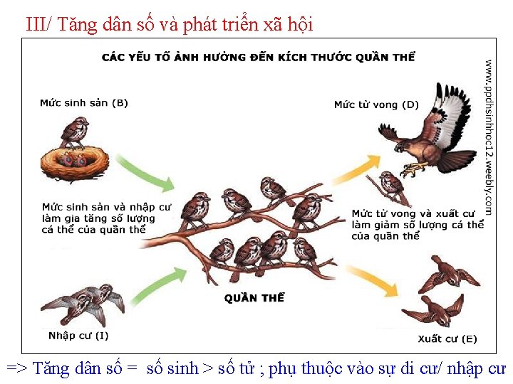 III/ Tăng dân số và phát triển xã hội => Tăng dân số =