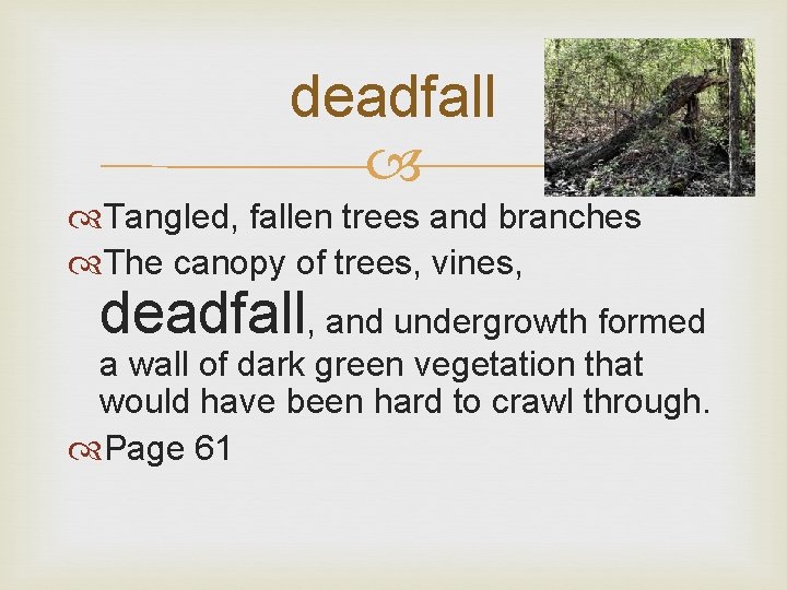 deadfall Tangled, fallen trees and branches The canopy of trees, vines, deadfall, and undergrowth