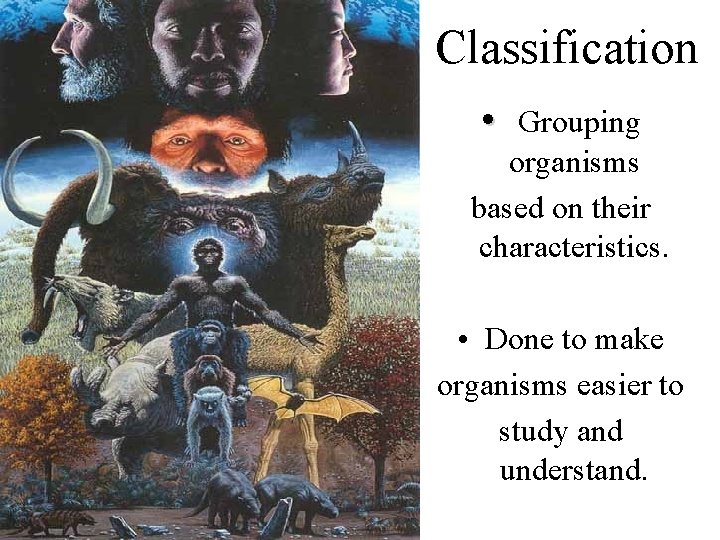 Classification • Grouping organisms based on their characteristics. • Done to make organisms easier