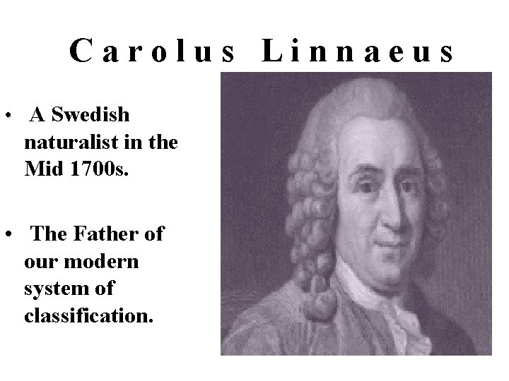 Carolus Linnaeus • A Swedish naturalist in the Mid 1700 s. • The Father Carolus Linnaeus • A Swedish naturalist in the Mid 1700 s. • The Father