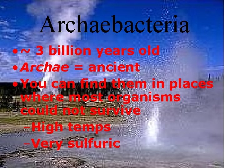 Archaebacteria • ~ 3 billion years old • Archae = ancient • You can Archaebacteria • ~ 3 billion years old • Archae = ancient • You can