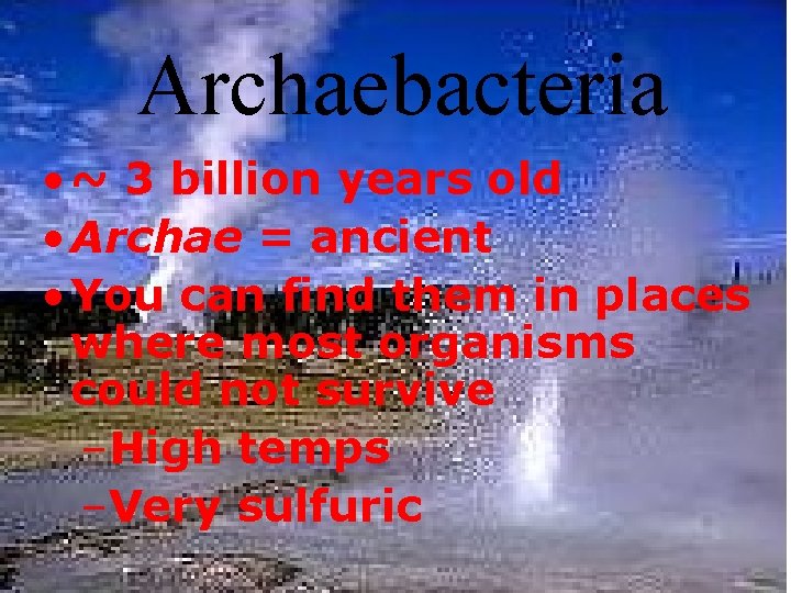 Archaebacteria • ~ 3 billion years old • Archae = ancient • You can