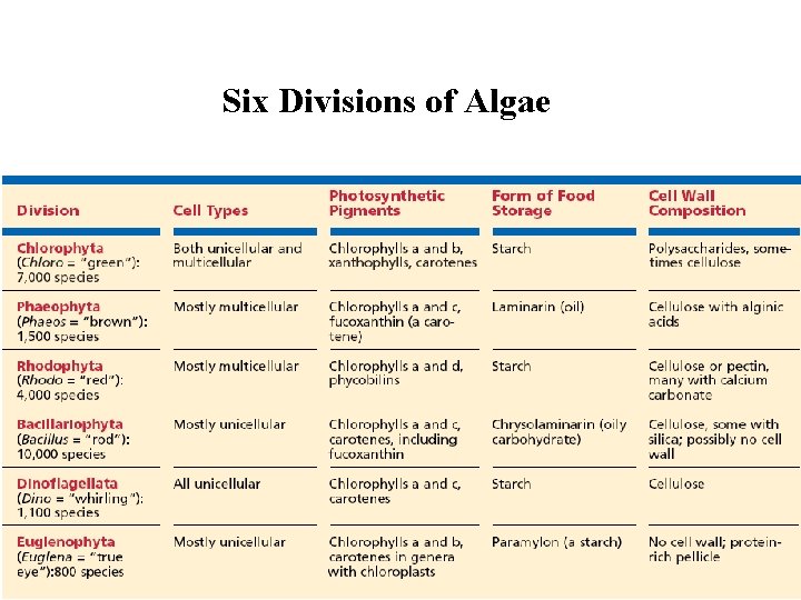 Six Divisions of Algae Six Divisions of Algae