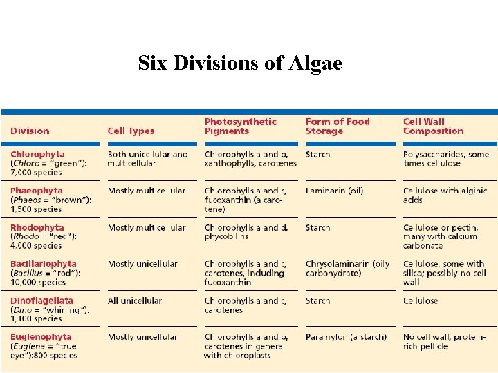 Six Divisions of Algae 