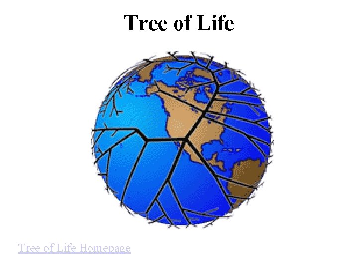 Tree of Life Homepage Tree of Life Homepage