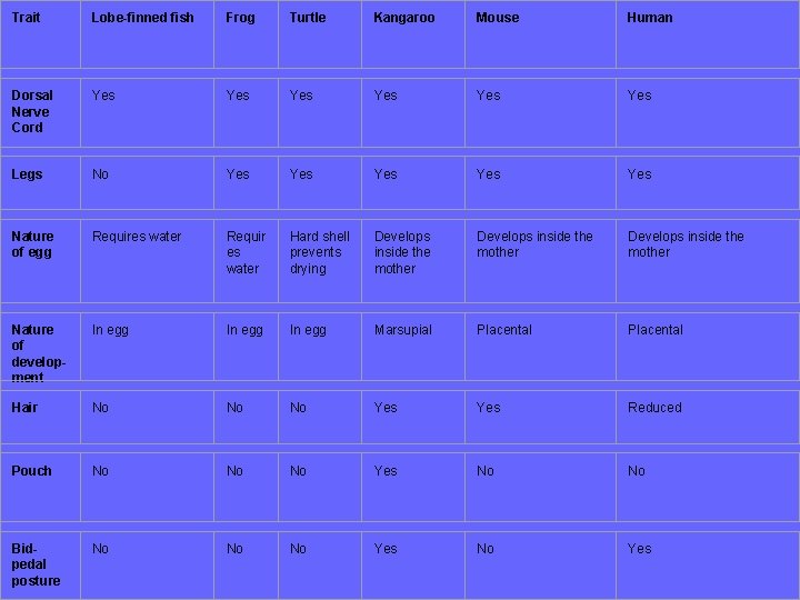 Trait Lobe-finned fish Frog Turtle Kangaroo Mouse Human Dorsal Nerve Cord Yes Yes Yes