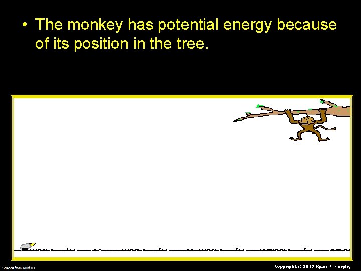  • The monkey has potential energy because of its position in the tree.
