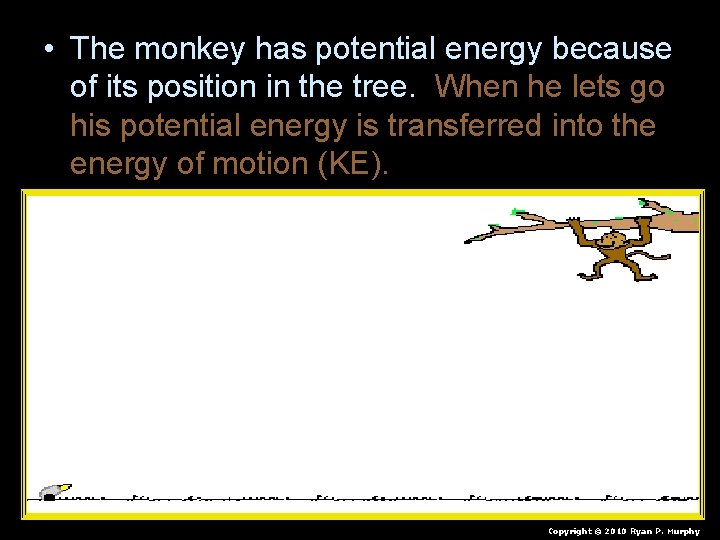  • The monkey has potential energy because of its position in the tree.