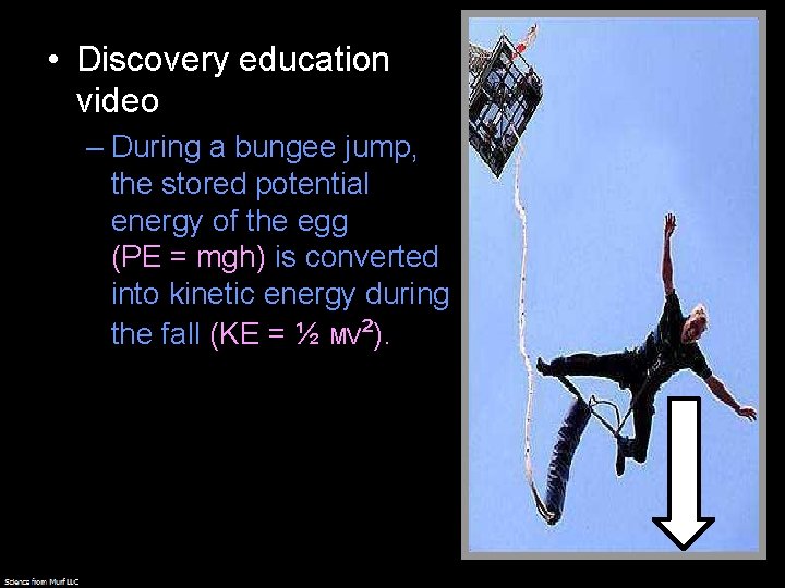  • Discovery education video – During a bungee jump, the stored potential energy